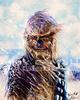 Chewbacca