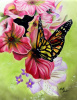Natures Nectar 2